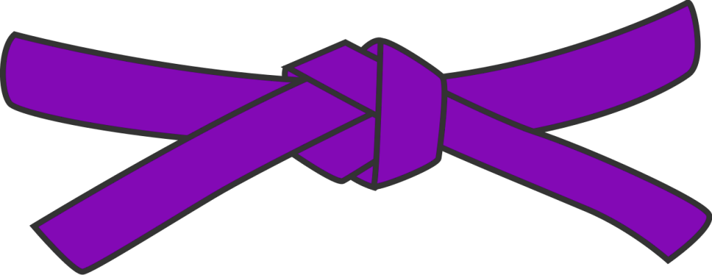 The Purple Belt: Mastering Wall Shots in Rocket League